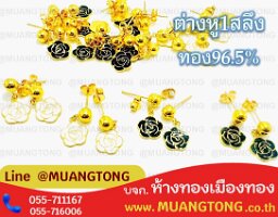 6504-0308