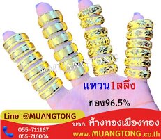 6905-1311